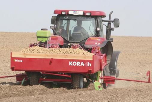  KORA
