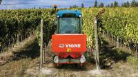 VIGNA
